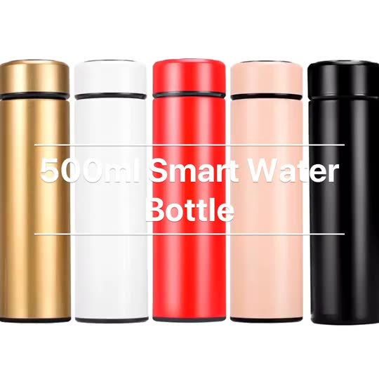 Garrafa Térmica Inox 500 Ml Com Medidor De Temperatura Ideal Para Viagens Escritório