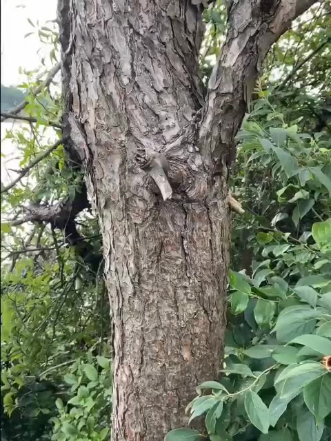 Mochila Impermeável Com Mini Chuveiro e Mangueirinha Snel Camping