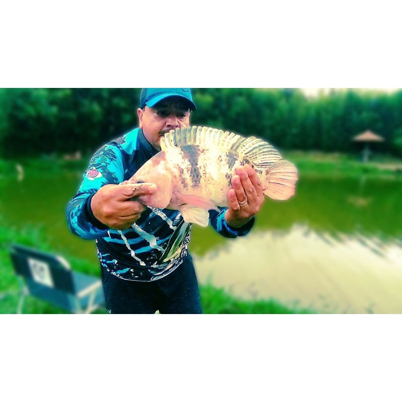 Sistema para pescaria de tilápia Pac Man Fish (bóia de pesca) tamanho para vara de 3.60 com 1 azol