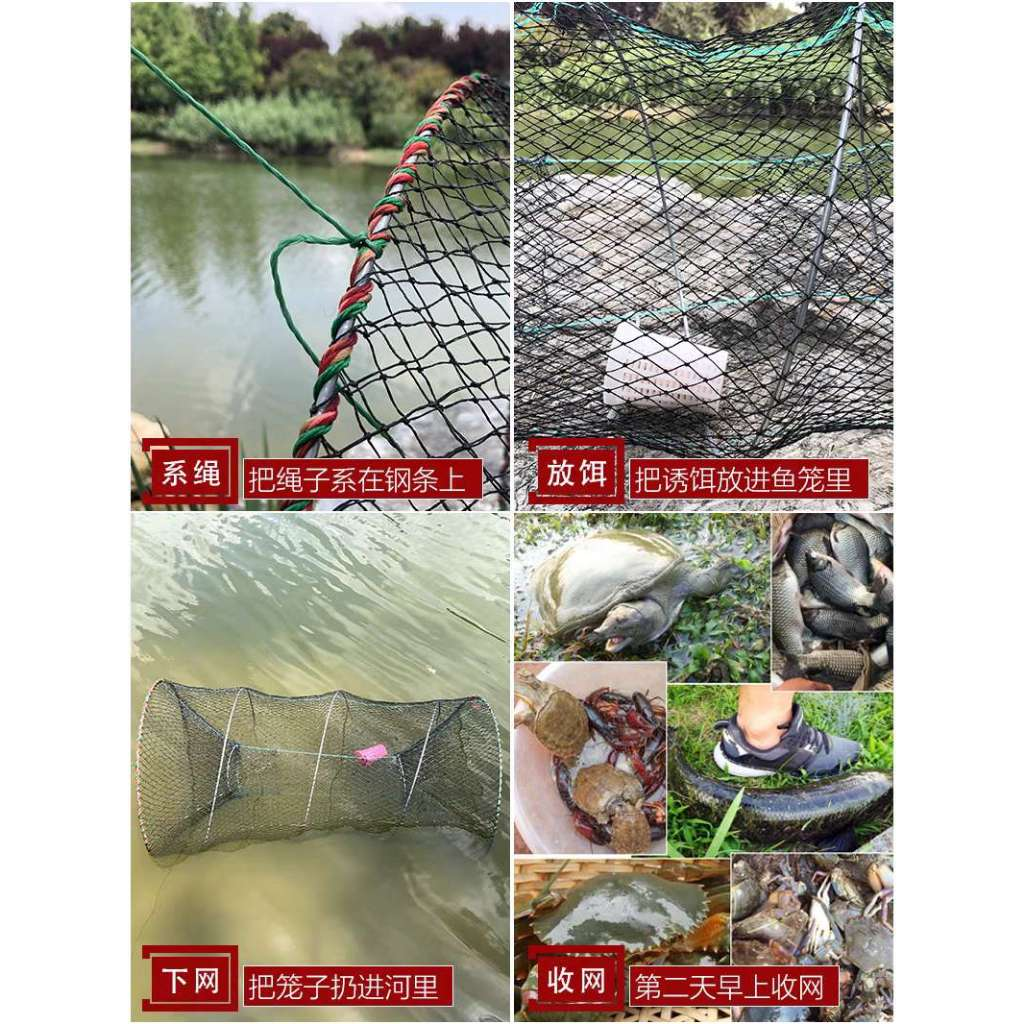 Armadilha Pesca Covo Com Mola Traira Bagre Tilápias Lambaris