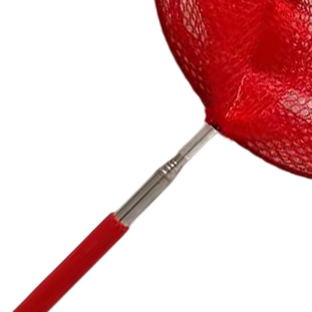 Rede De Pesca Portátil Design Ergonômico Gaiola De Borboleta Telescópica Para Exterior Suprimentos