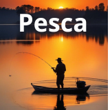 Pesca