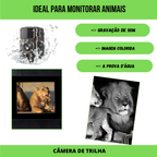 Câmera De Caça Visão Noturna, Observação, Hc801a A Melhor Envio Imediato
