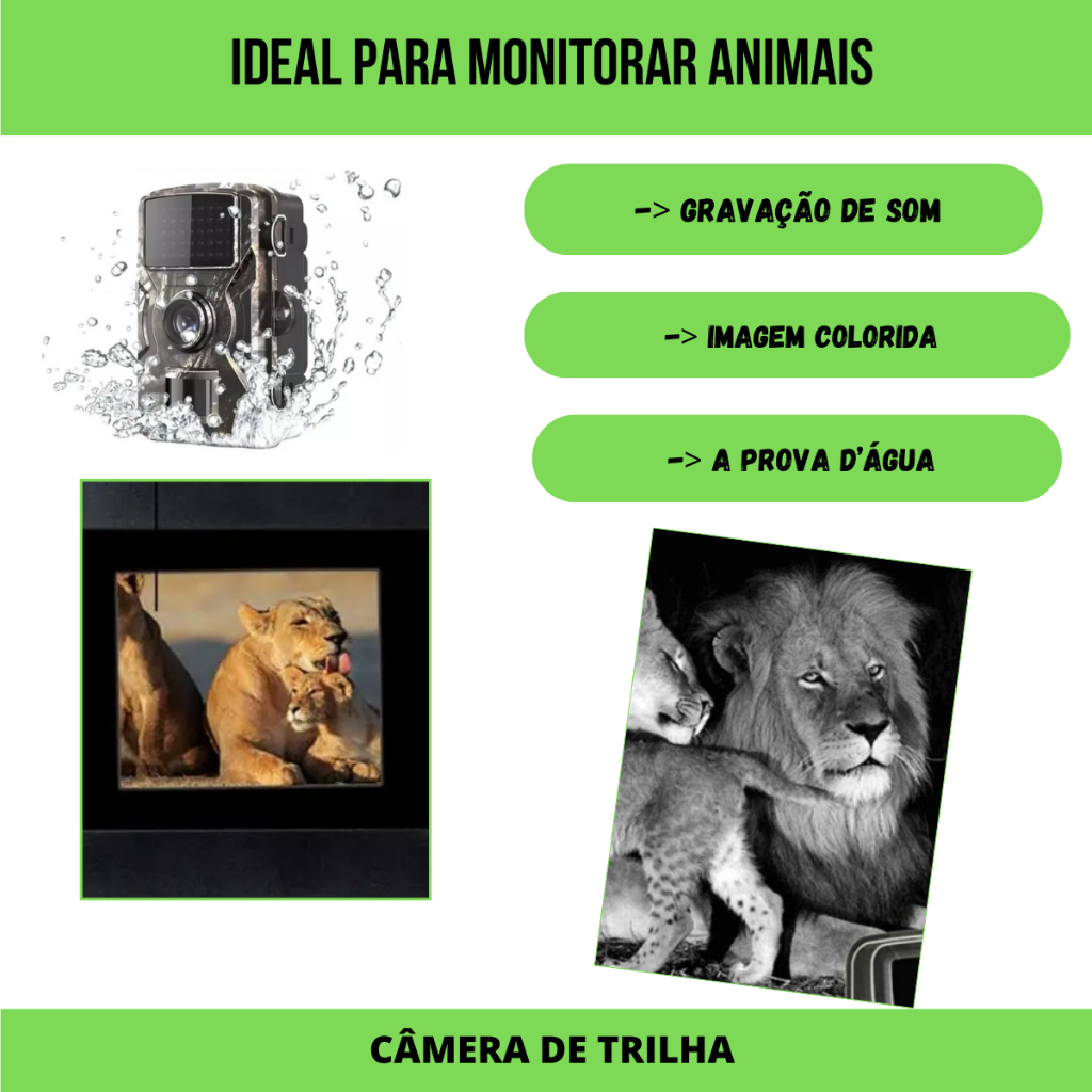 Câmera De Caça Visão Noturna, Observação, Hc801a A Melhor Envio Imediato