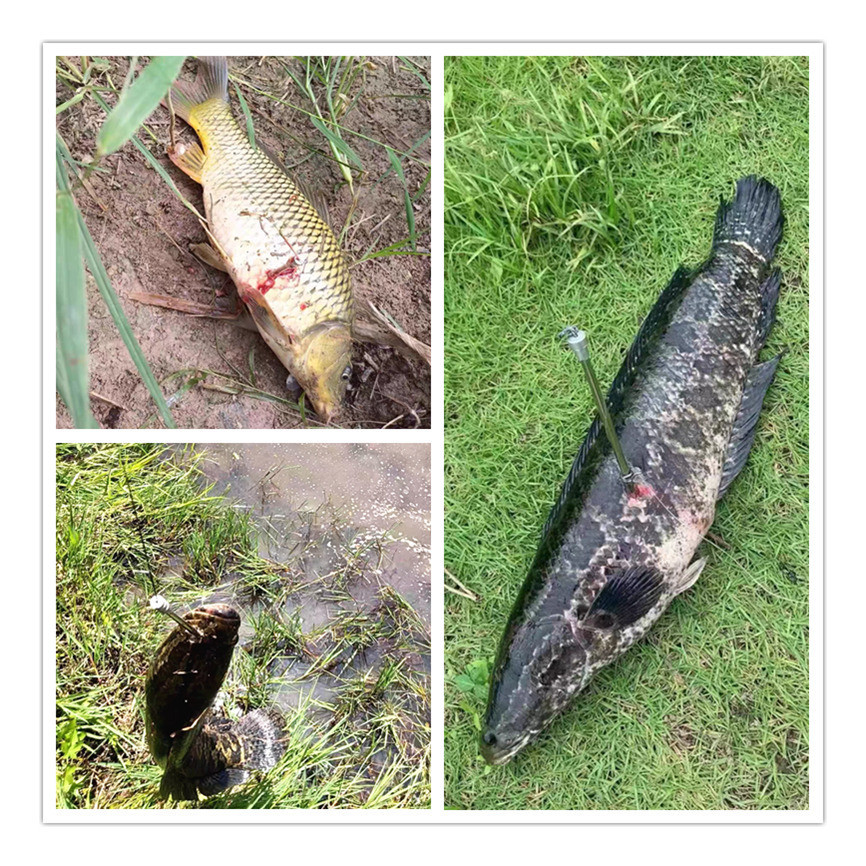 Kit18 Estilingue De Pesca Completo Flecha De Pesca/Carretel De Pesca/dispositivo De Lançamento