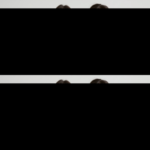 KIT 2 Jaqueta Corta Vento Forrado Premium Com Capuz Liso Casaco Blusão Feminino