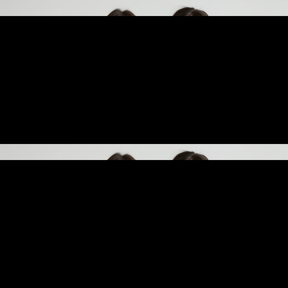 KIT 2 Jaqueta Corta Vento Forrado Premium Com Capuz Liso Casaco Blusão Feminino