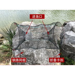 Armadilha Pesca Covo Com Mola Traira Bagre Tilápias Lambaris